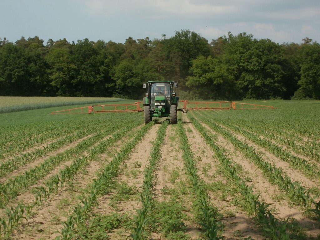 maize, corn, field, tractor, agriculture, machinery, equipment, farming, rural, cultivation, plantation, crop, maize, maize, maize, maize, maize, tractor