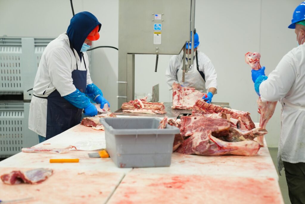 Skilled butchers processing raw meat in a factory, wearing protective clothing and equipment.